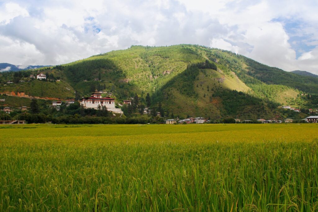 Bhutan Above The Clouds Tour - 10 nights  11 days