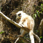 Nabji Korphu Trek 5