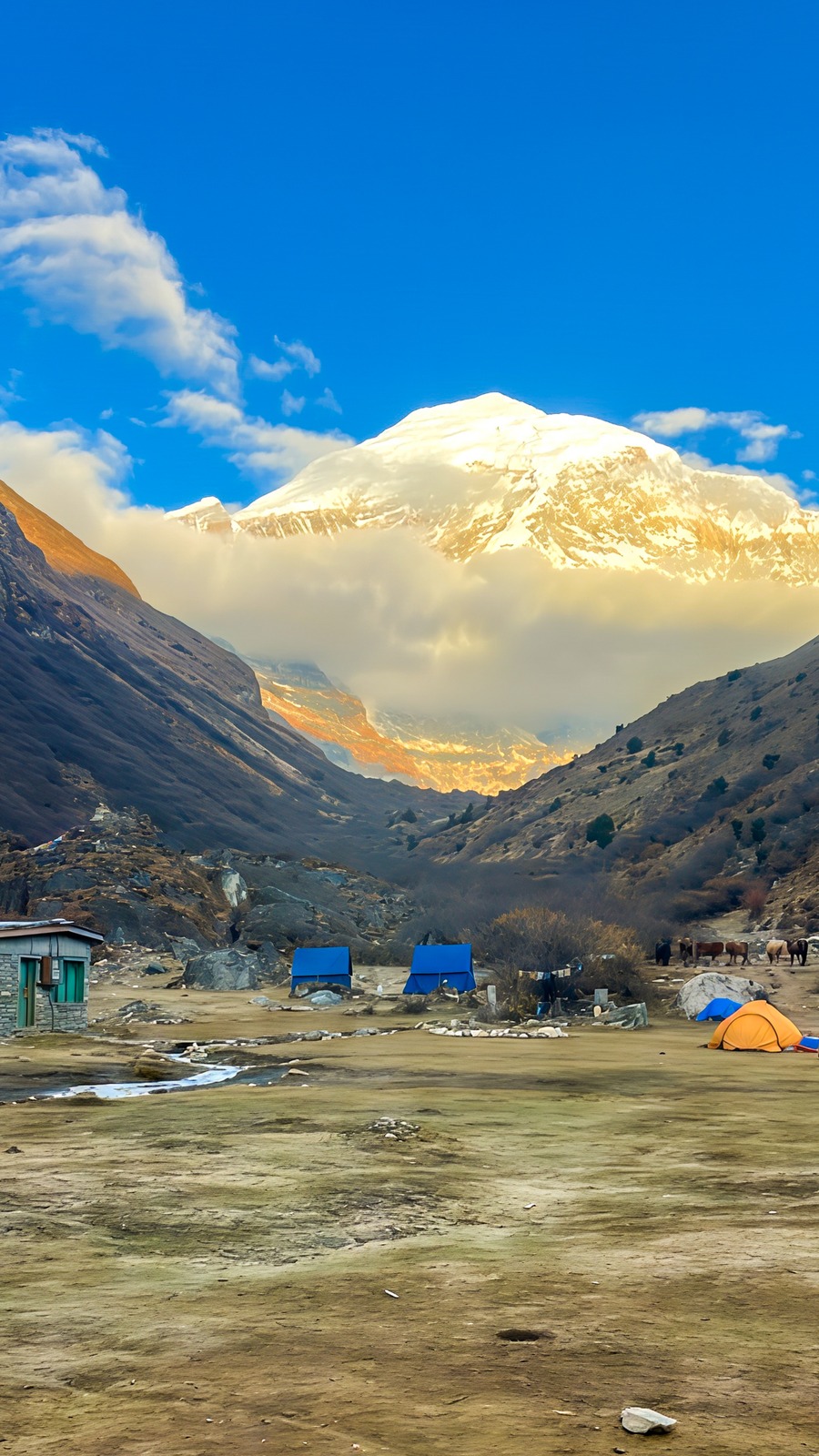 Jomolhari Base Camp Picnic